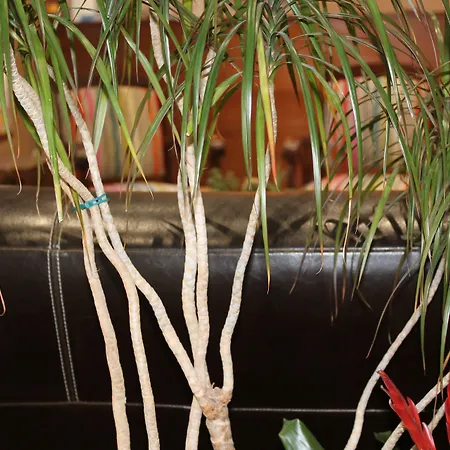 Ξενοδοχείο Bellevue 2*