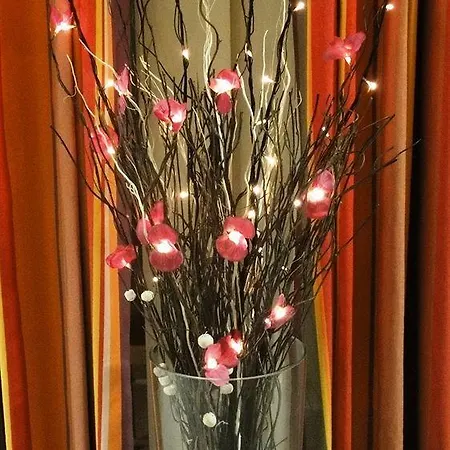 Hotel Bellevue 2*